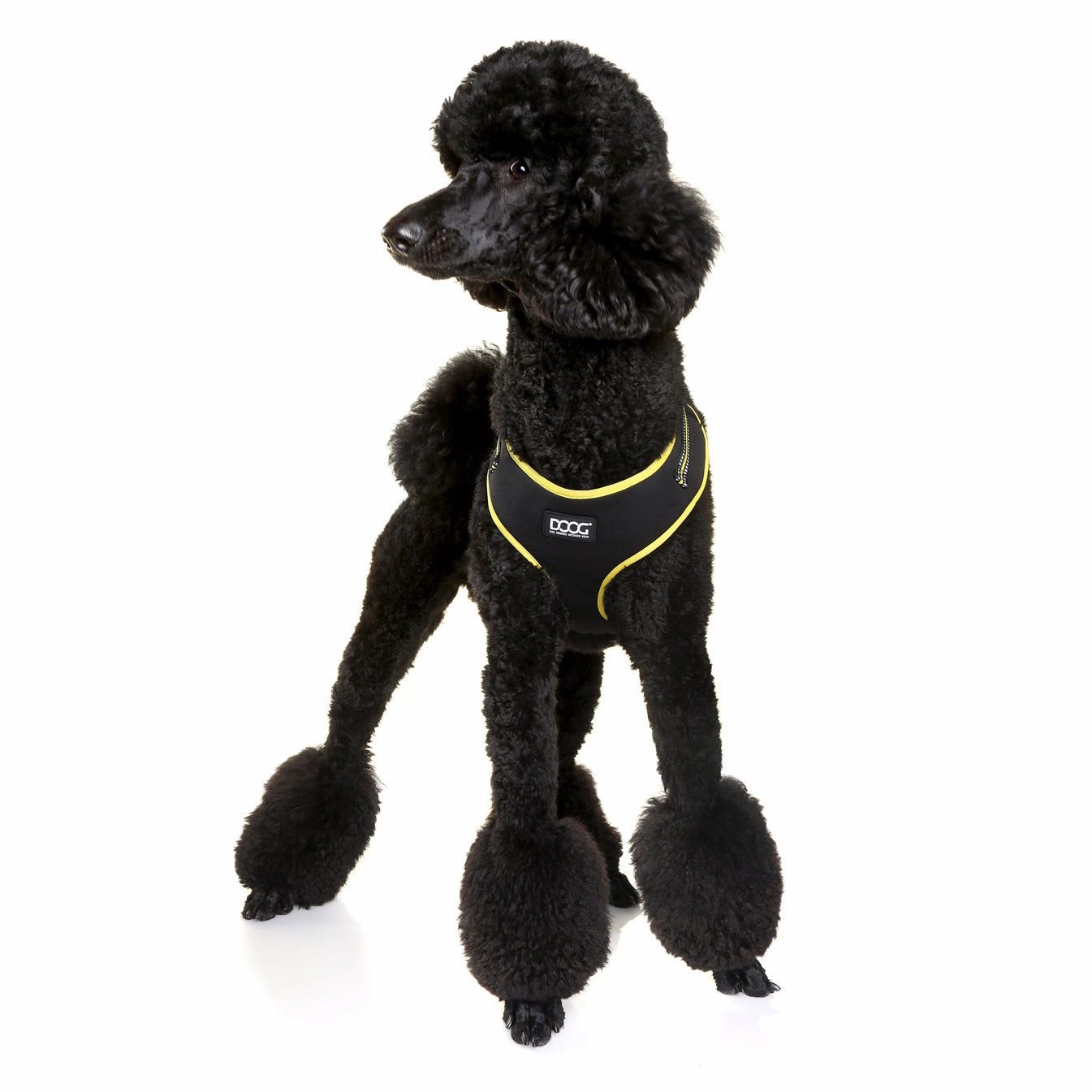 Neoflex Soft Harness - (Neon High Vis) Bolt