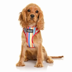 Neoflex Soft Harness - Scooby
