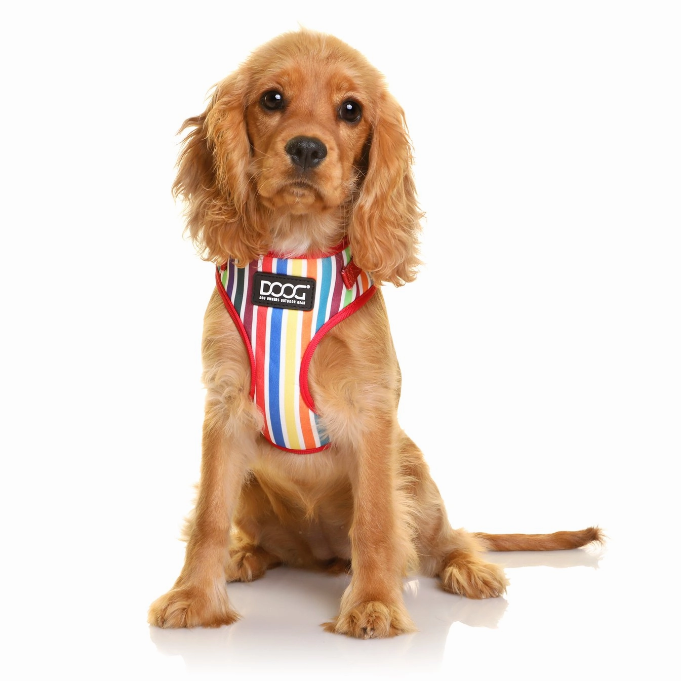 Neoflex Soft Harness - Scooby