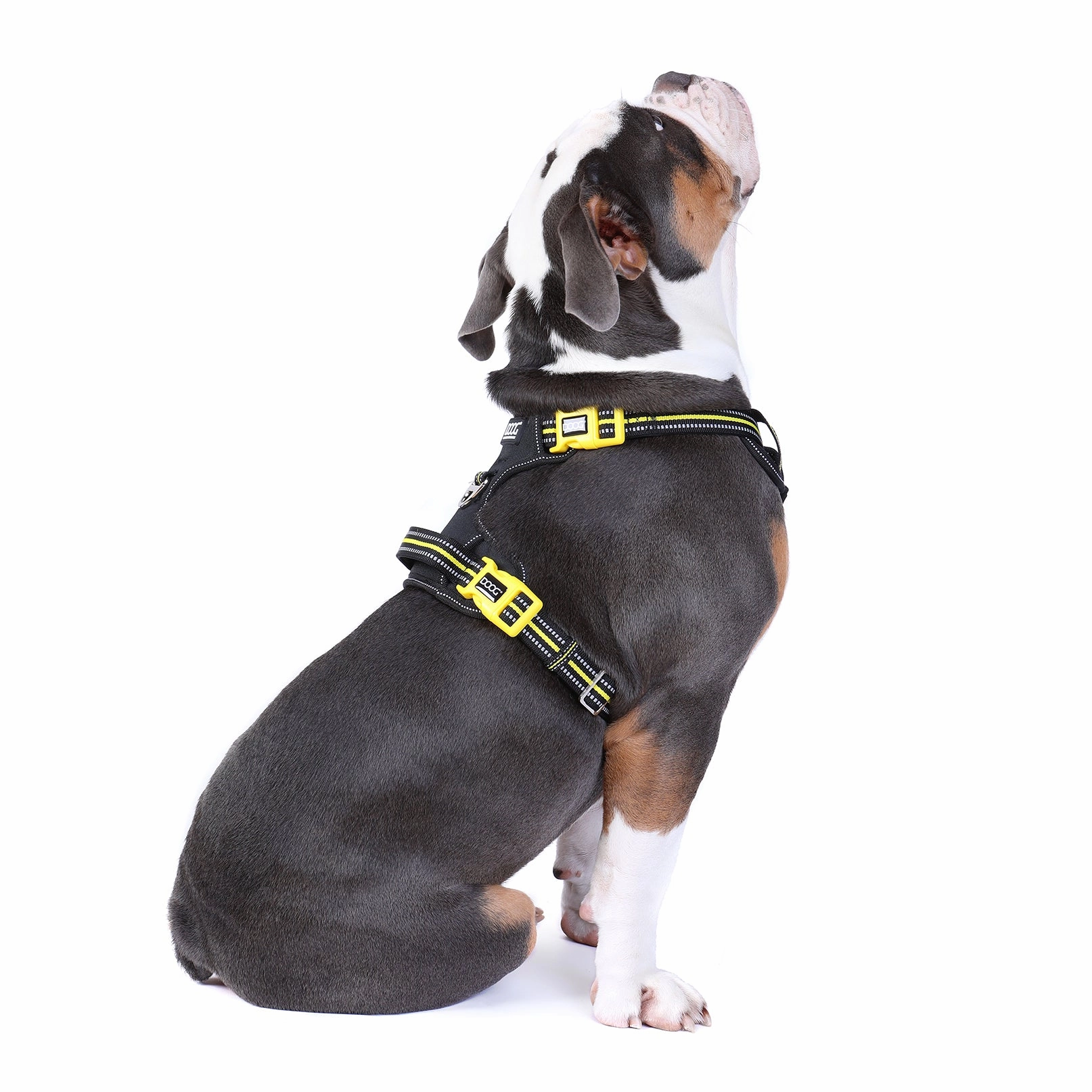 Neotech Harness - (Neon High Vis) Bolt