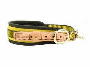 Niggeloh Blood Tracking Collar