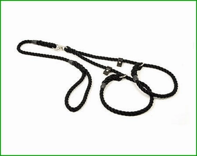 Rope Brace Slip Lead Swivel for 2 dogs