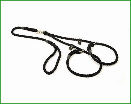 Rope Brace Slip Lead Swivel for 2 dogs