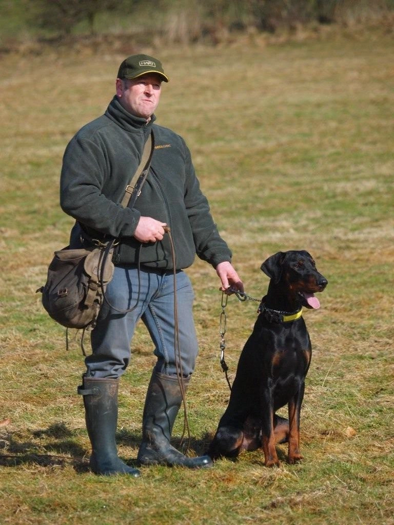 Stephen Bulled's Essential Dog Training Kit