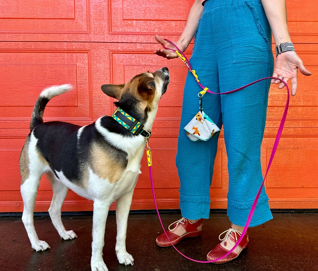 The Pica by Trailblazing Tails