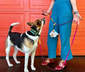 The Pica by Trailblazing Tails